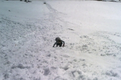 24032010174