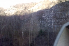 27032010213
