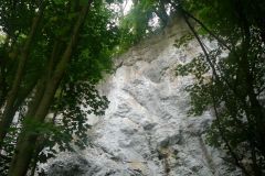 Baldovec_107