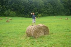 Baldovec_126