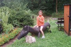 OLYMPUS DIGITAL CAMERA