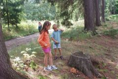 OLYMPUS DIGITAL CAMERA