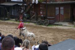Baldovec_2009_0370