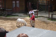 Baldovec_2009_0390