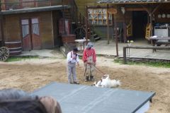 Baldovec_2009_0400