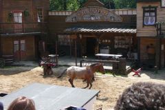 Baldovec_2009_048