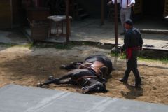 Baldovec_2009_061