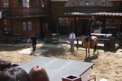 Baldovec_2009_065