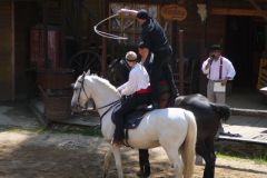 Baldovec_2009_0660