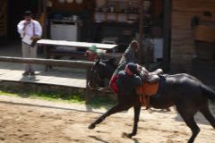 Baldovec_2009_077