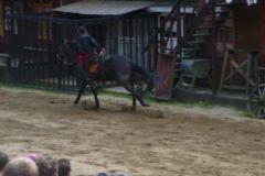 Baldovec_2009_0820