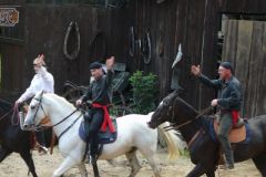 Baldovec_2009_089