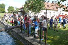 Baldovec_2009_102