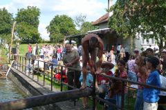 Baldovec_2009_103