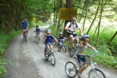 Baldovec_2009_145