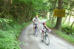 Baldovec_2009_147