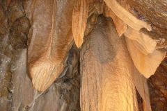 Baldovec_2009_175