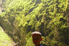 Baldovec_2009_178