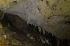 DSC00665
