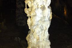 DSC00671