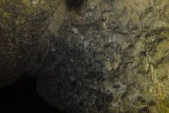 DSC00680
