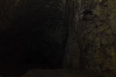 DSC00686
