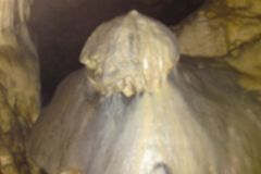 DSC00688