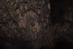 DSC00697