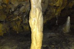 DSC00701