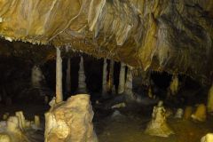 DSC00705