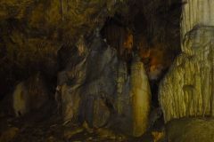DSC00708