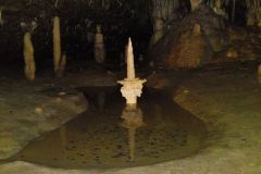 DSC00712