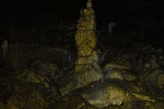 DSC00726