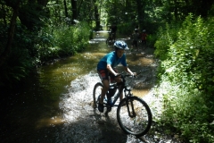 Baldovec_2011_137