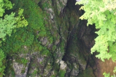 P1030854