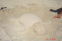 DSC01021
