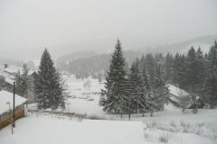 P1050916