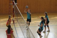 IMG_7615