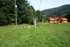P1000687