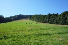 P1000802
