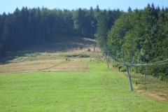 P1000809