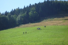 P1000810