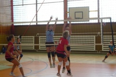 P1000943