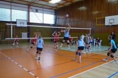 P1000950