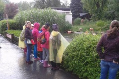 Přípravka 2015 -  závěrečná ZOO 