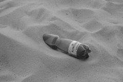 IMG_7074