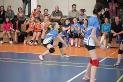 IMG_8537