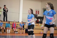 IMG_8622