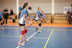 IMG_8741