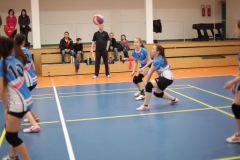 IMG_8762